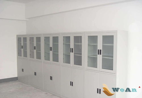 藥品柜 實驗臺廠家,通風(fēng)柜,實驗室家具